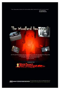 The Woodland Haunting 2 poster