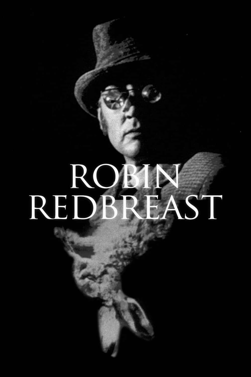 Red Robin Movie 60 Photos - Moonagedaydream.film