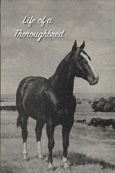 Life of a Thoroughbred (1941) directed by Tom Cummiskey • Reviews