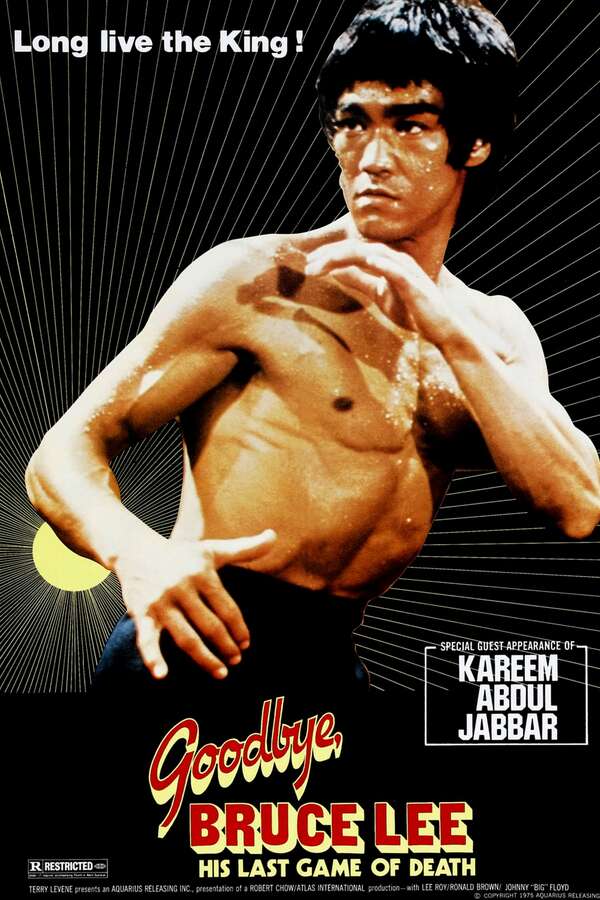 17225-goodbye-bruce-lee-his-