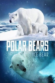 Polar Bears: Ice Bear (2013) directed by Adam Ravetch, Sarah Robertson ...