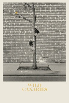 Wild Canaries