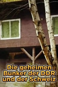 Reichsbürger Razzia: Die Geheimen Bunker Und Waffen – Details Enthüllt! - dqhtcym