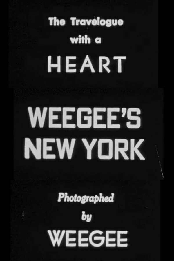 【希少】WEEGEE'S NEW YORK 180275-weegee-s-new-york-0-600