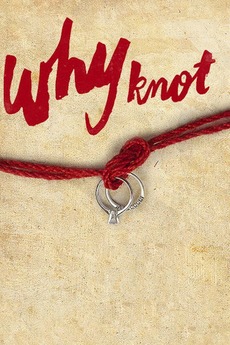 why knot 2014 directed by dhruv dhawan  reviews film  cast