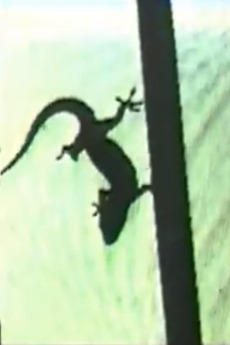 ‎Lizard, or How to Perform in Front of the Reptile (1986) directed by ...