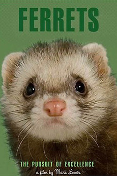 その他 Pursuit of Excellence: Ferrets [DVD] [Import] Ferrets (2007) directed by Mark Lewis • Reviews, film + cast