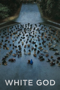 White God