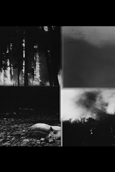 Up, Down, Around (2014) • Film + cast • Letterboxd