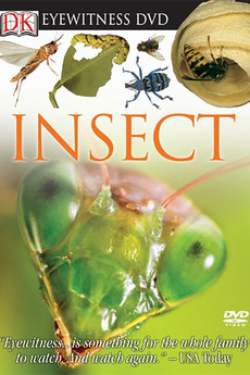 Eyewitness DVD: Insect (2006) • Reviews, film + cast • Letterboxd