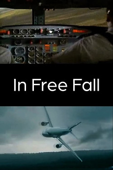 ‎In Free Fall (2010) directed by Hito Steyerl • Reviews, film + cast ...