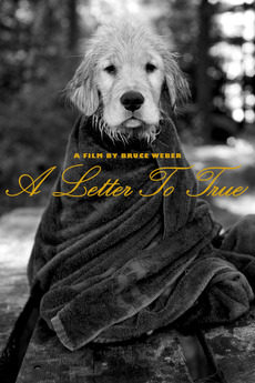 ブルースウェバー　A Letter to True ポスター A Letter to True (2004) - IMDb