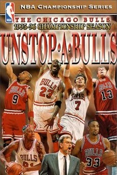 95 96 bulls championship