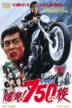 Hell Riders (1976) directed by Yutaka Kohira • Reviews, film + cast ...