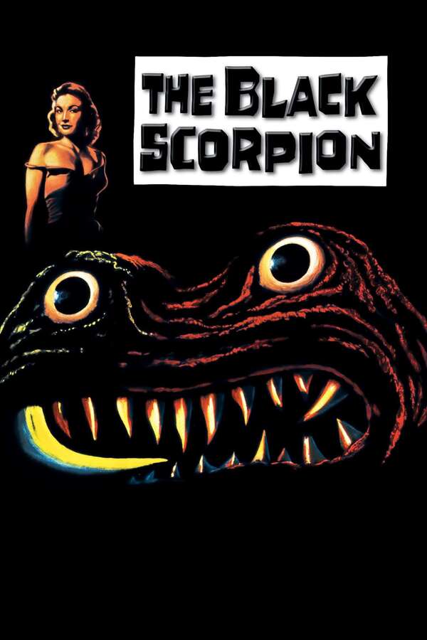 Letterboxd - highspot