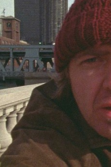 ‎Chicago Loop (1976) directed by James Benning • Reviews, film + cast ...