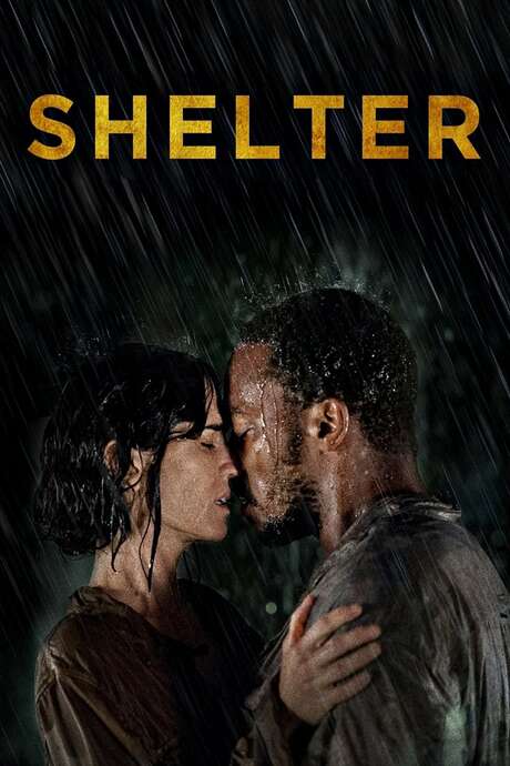 Shelter (2014) directed by Paul Bettany • Reviews, film + cast