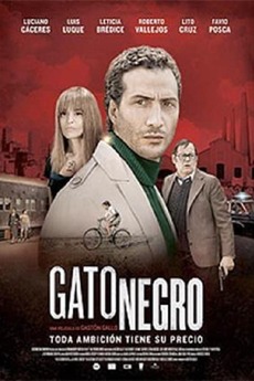 ‎Gato negro (2014) directed by Gastón Gallo • Reviews, film + cast