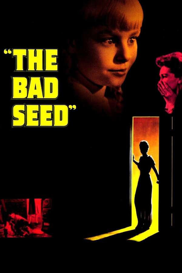 Letterboxd - highspot