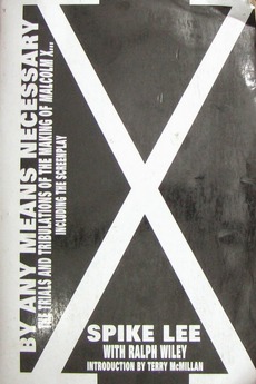 malcolm x poster by any means necessary