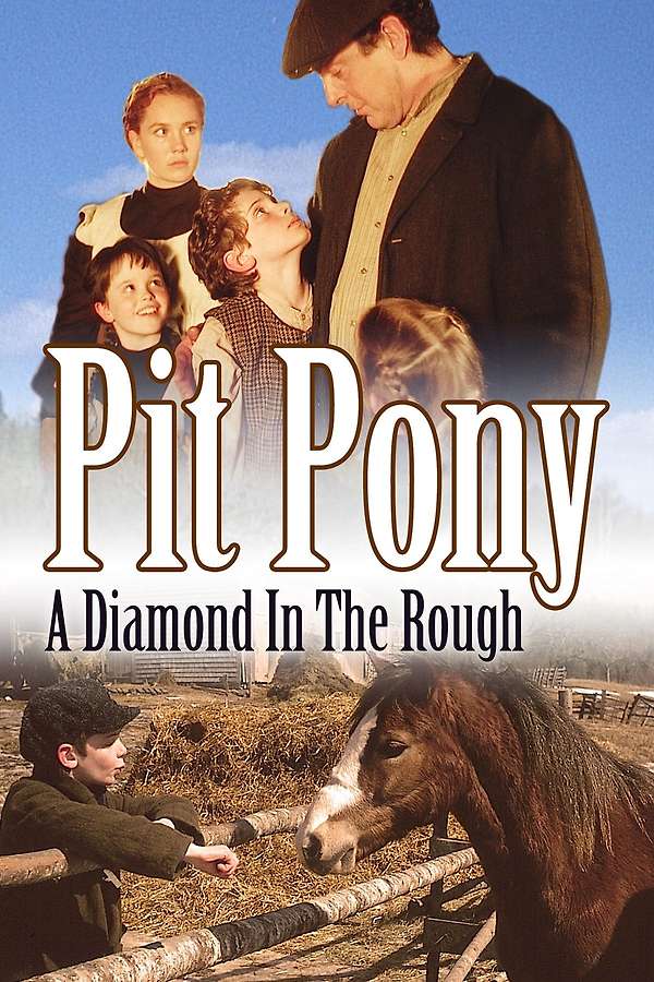 24446-pit-pony-0-600-0-900-