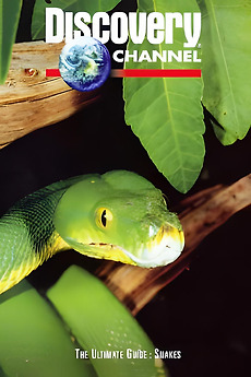 ‎The Ultimate Guide: Snakes (1997) • Reviews, film + cast • Letterboxd