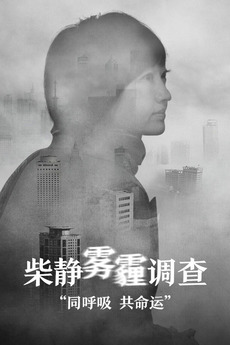 ‎Under the Dome (2015) directed by Chai Jing, Cissie Fan • Reviews
