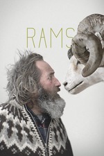 Rams