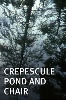‎Crepescule Pond and Chair (2001) directed by Sandra Davis • Reviews ...