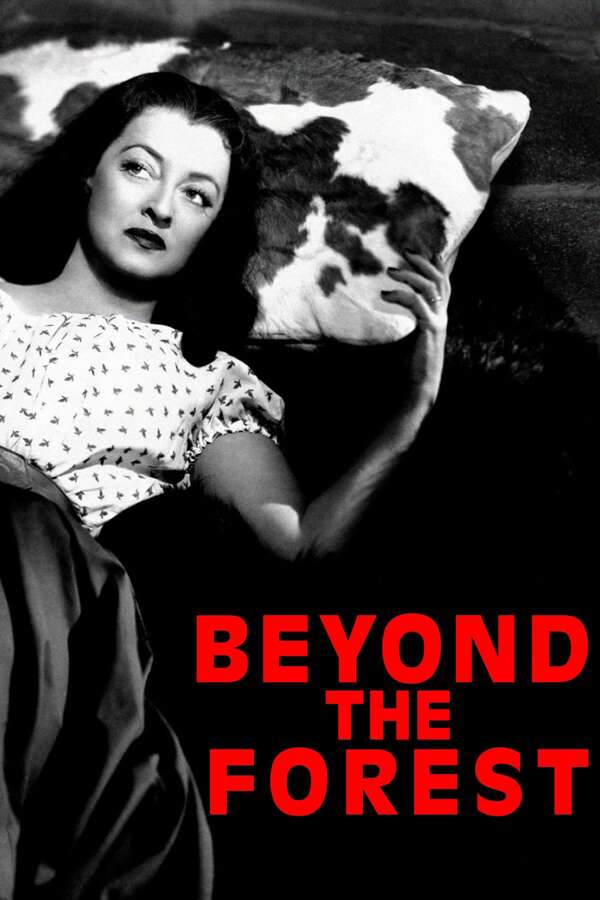 洋楽 Between or Beyond the Black Forest 洋楽 Between or Beyond the Black Forest Between or Beyond the