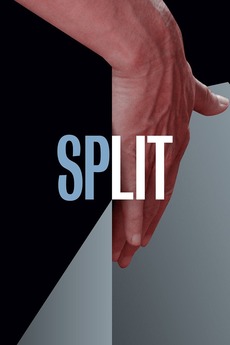 ‎Split (2017) directed by Deborah Kampmeier • Reviews, film + cast