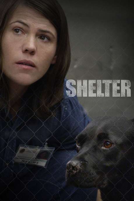Shelter (2015) • Reviews, film + cast • Letterboxd