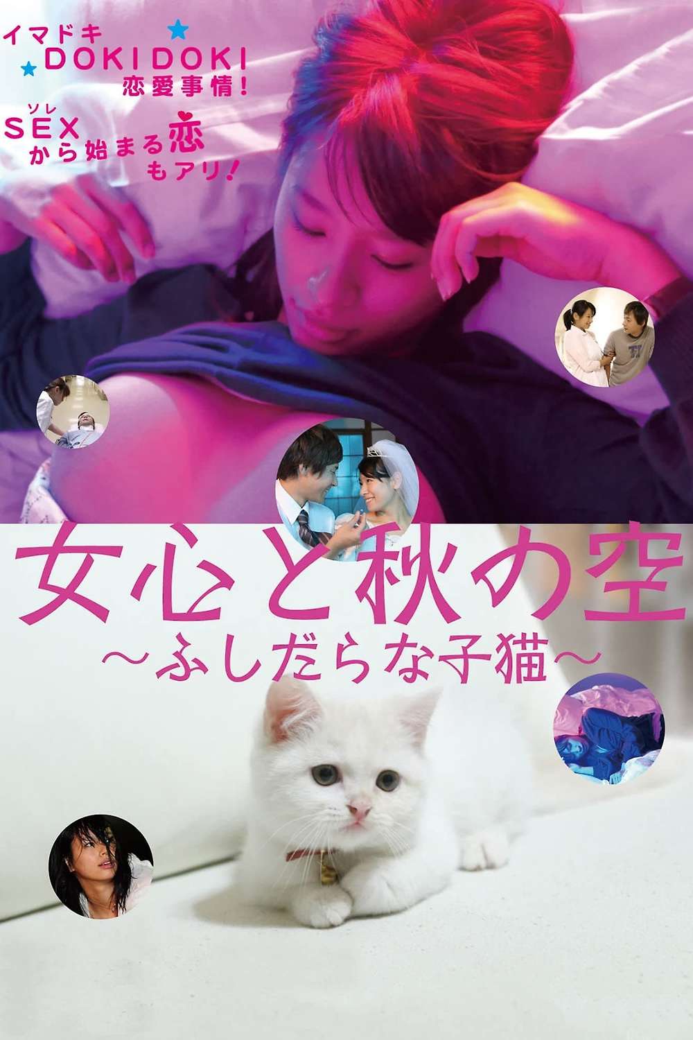 コミック もっと! motto! 2014 AUTUMN Amazon.co.jp: motto! (2014 AUTUMN) (少年チャンピオン