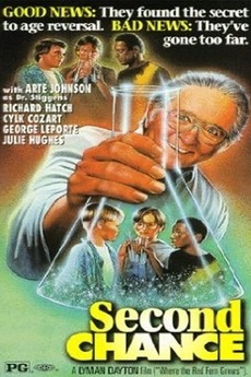 ‎Second Chance (1996) directed by Lyman Dayton • Film + cast • Letterboxd