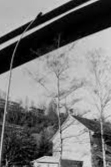 ‎The Red Bridge (1992) directed by Geneviève Mersch • Reviews, film ...