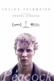 ‎Peacock (2015) directed by Ondřej Hudeček • Reviews, film + cast • Letterboxd