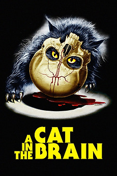 A Cat In The Brain [New Blu-ray] - Lucio Fulci - Grindhouse Releasing - Widescreen