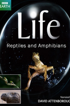 BBC Life: Reptiles And Amphibians (2009) • Reviews, film + cast