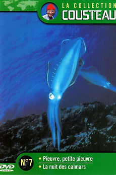 ‎The Cousteau Collection N°7-1 | Octopus, Little Octopus (1972 ...