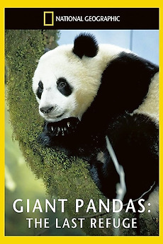 â žgiant Pandas The Last Refuge 1994 â Film Cast â Letterboxd â žgiant Pandas The Last Refuge 1994 â Film Cast â Letterboxd