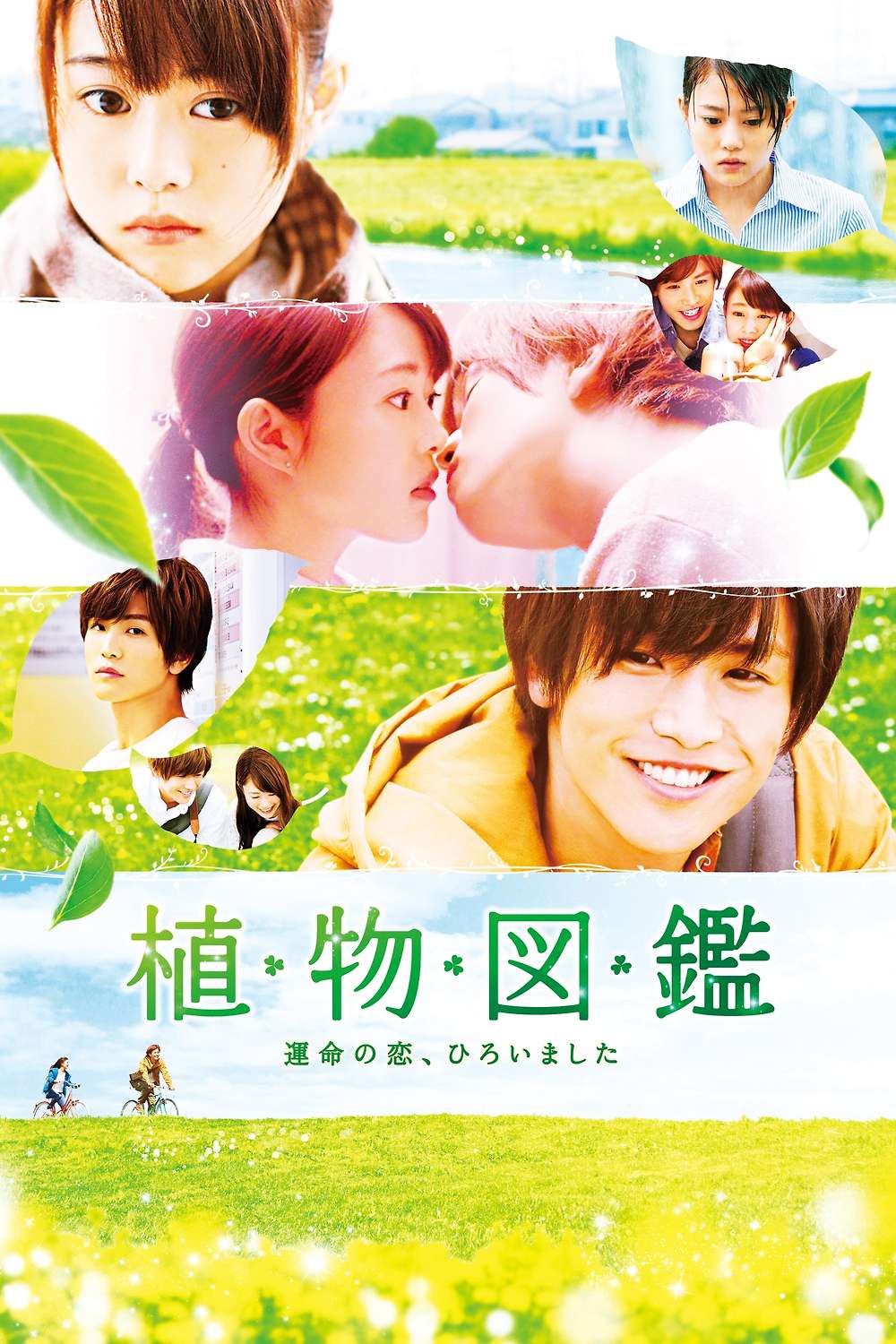 Evergreen Love (2016) directed by Koichiro Miki • Reviews