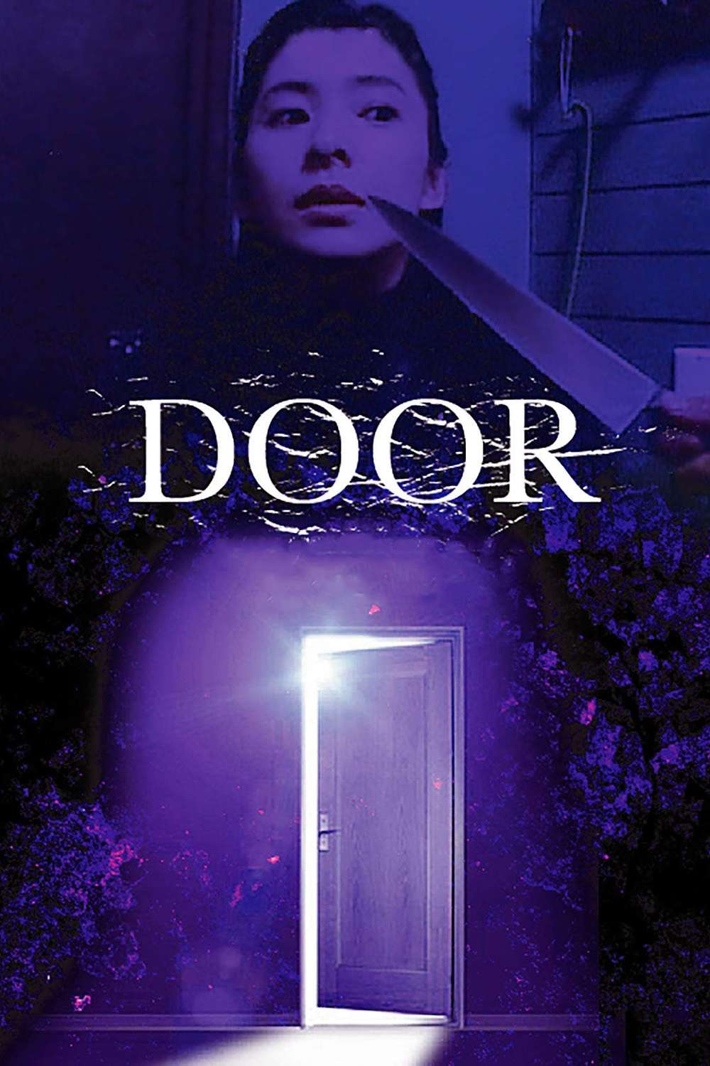 Door (1988) directed by Banmei Takahashi • Reviews, film +
