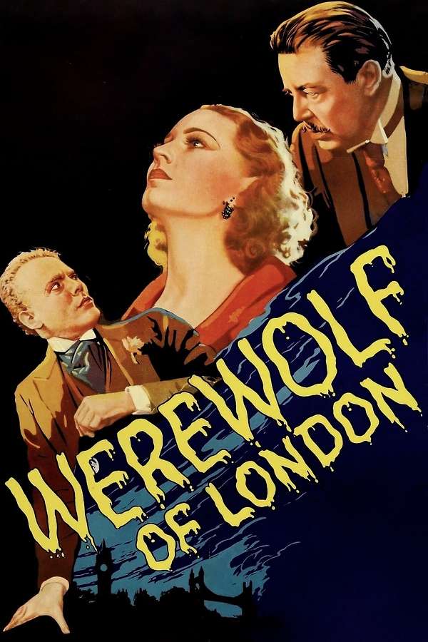 Letterboxd - highspot
