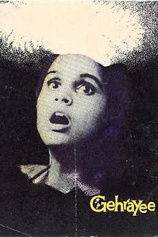 ‎Gehrayee (1980) directed by Aruna Raje, Vikas Desai • Reviews, film ...