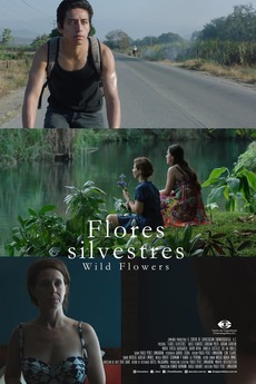 Wild Flowers (2015) directed by Pablo Prez Lombardini  Reviews, film +  cast  Letterboxd