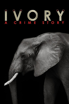 ‎Ivory. A Crime Story (2016) directed by Sergey Yastrzhembsky • Reviews ...