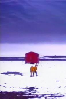 Winter Journey (1993) directed by Robert Cahen • Reviews, film + cast