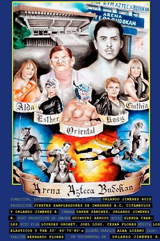 Arena Azteca Budokan (2014) directed by Orlando Jiménez Ruiz • Reviews, film + cast • Letterboxd