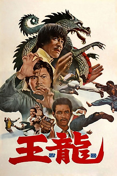 Deadly Kick (1976) directed by Lo Lieh, Go Yeong-nam • Reviews, film + cast  • Letterboxd