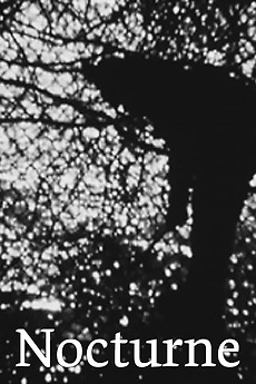 Nocturne (1980) directed by Phil Solomon • Reviews, film + cast